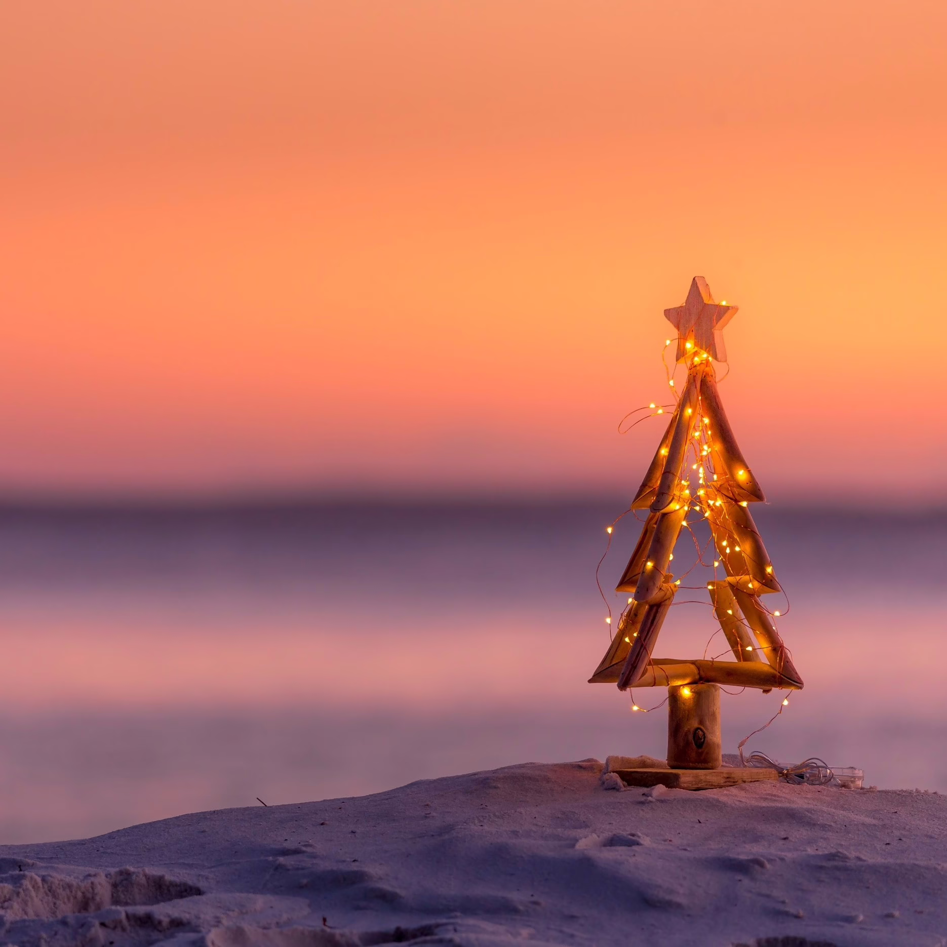Singen unterm Weihnachtsbaum (20.12.)