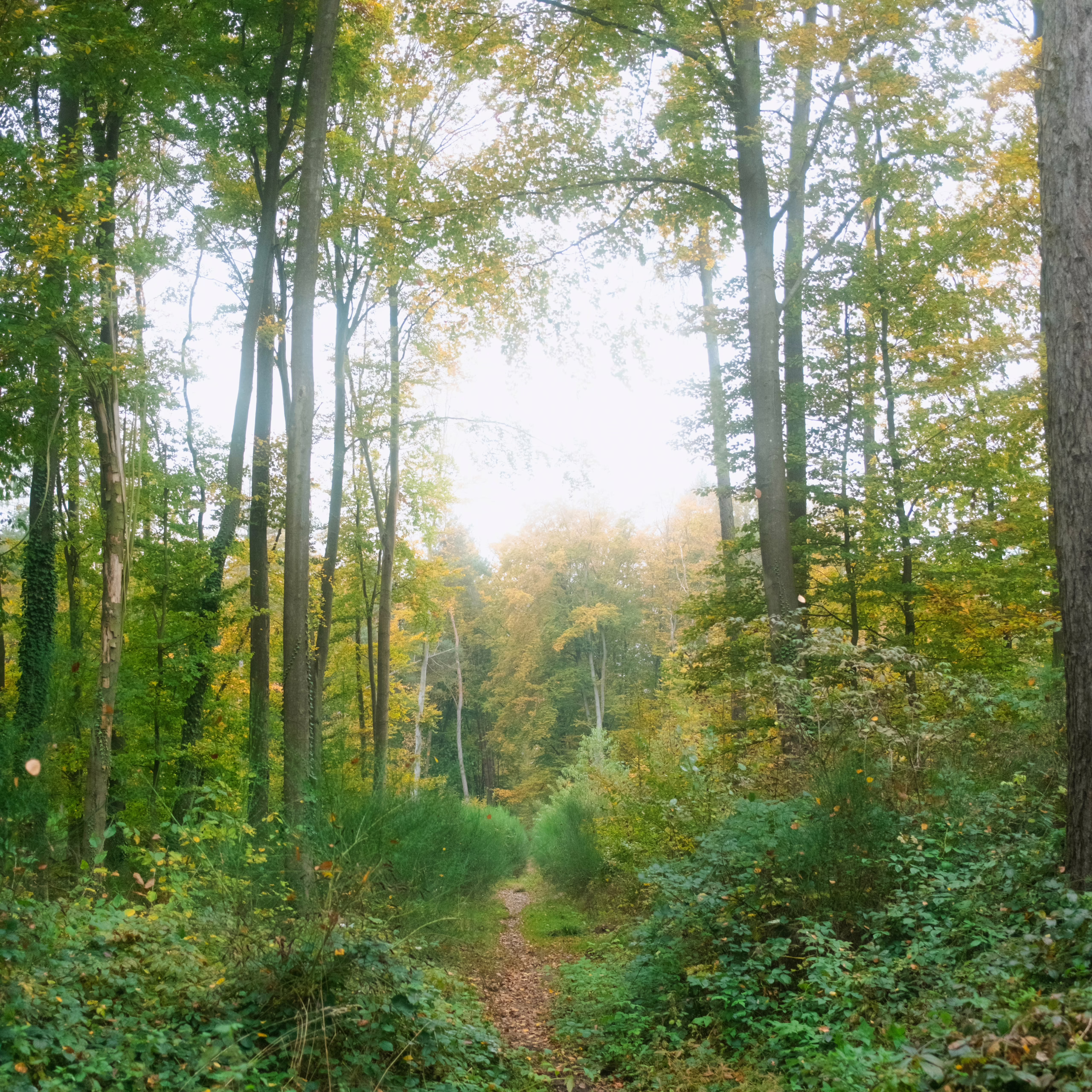 Ewigkeitssonntag (22./23.11.)